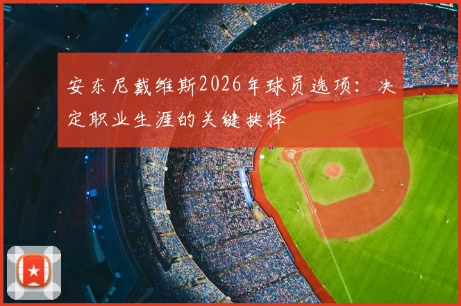 安东尼戴维斯2026年球员选项：决定职业生涯的关键抉择